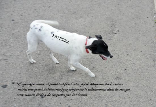 Les ancêtres 2023